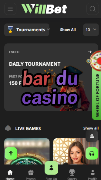Bar du Casino - Best French Casino Bar Experience-baleyscasino.ydblkf.net